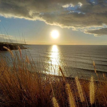 プンタ・デル・イダルゴ Un Paraiso En Tenerifeヴィラ エクステリア 写真