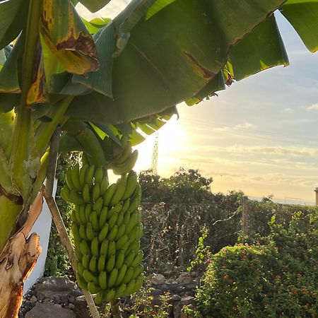 プンタ・デル・イダルゴ Un Paraiso En Tenerifeヴィラ エクステリア 写真